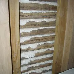 haired chalk plastering in suffolk