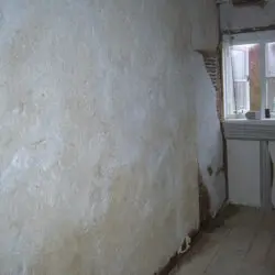 haired chalk plastering suffolk